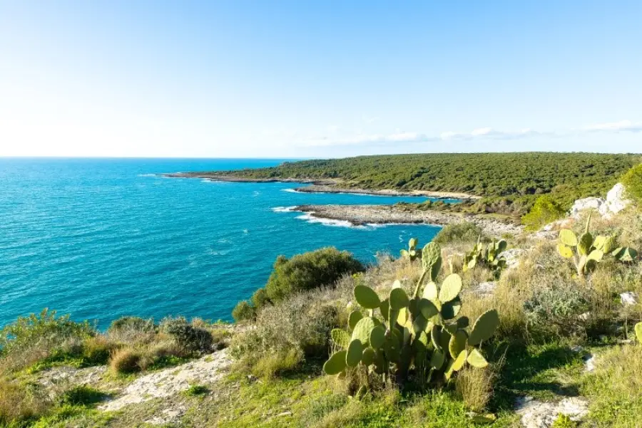Porto Selvaggio: le meraviglie di questo angolo di Salento